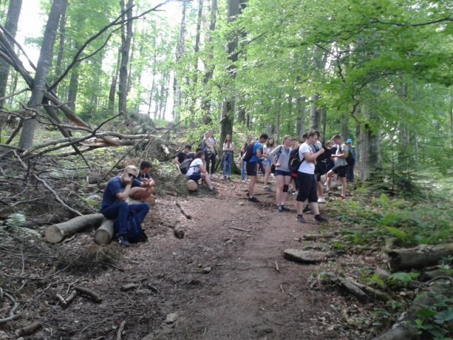 Ach, Bieszczady – jakie cudne!